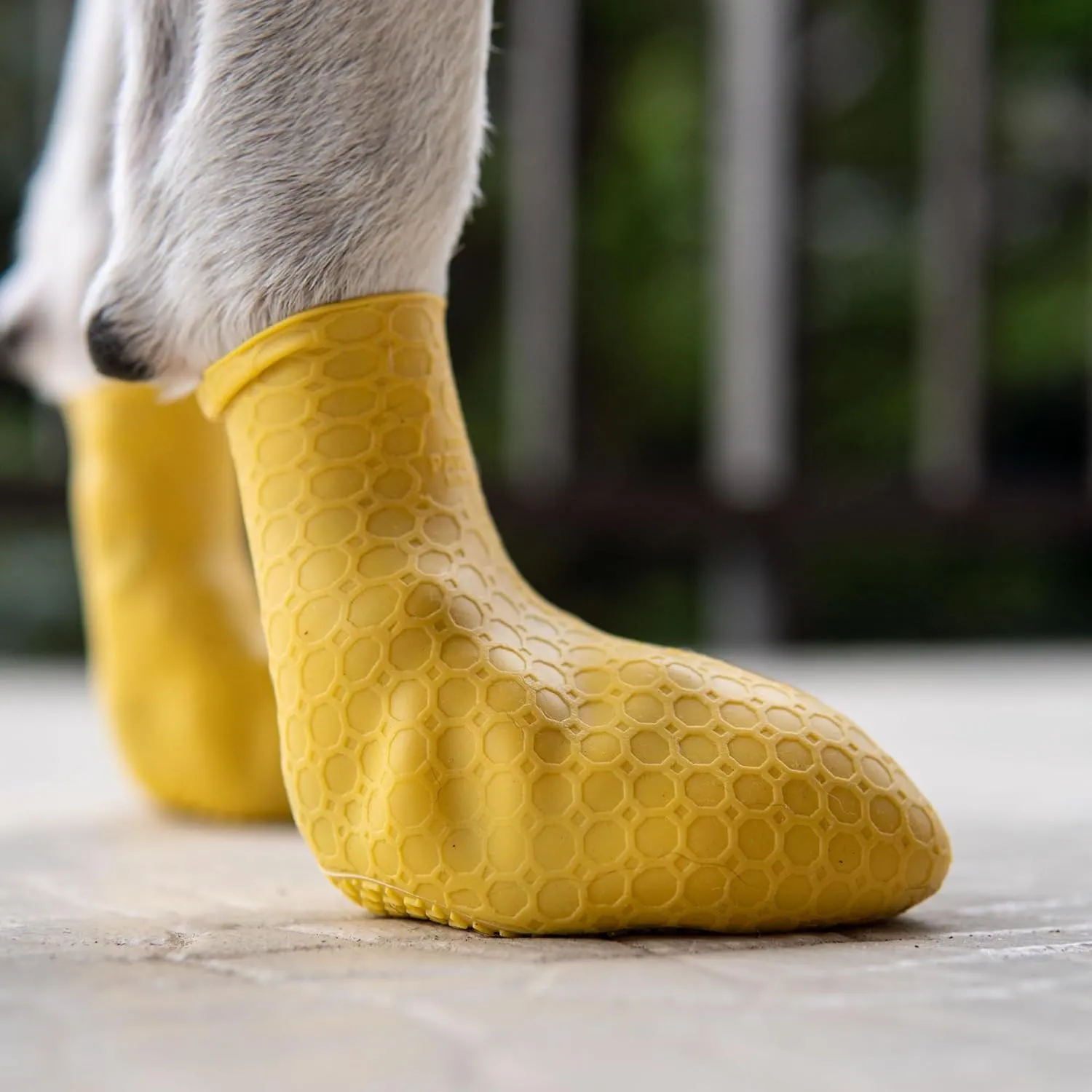 Next-Gen Dog Boots Paw Protectors | Skin-Like Silicone Dog Shoes | for Small Medium Large Size Dogs | High-Grip Dog Booties Dog Socks for Snow Hot Pavement | Prevent Licking Protect Floors